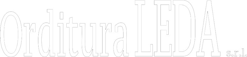 Orditura LEDA srl