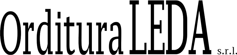 Orditura LEDA srl